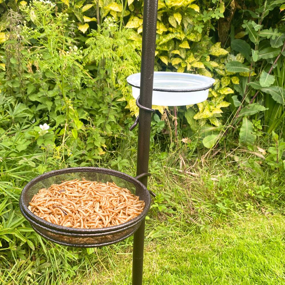 Bird Feeding Station